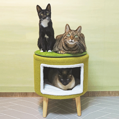 캣슬립 원형 의자/화장대스툴/고양이하우스